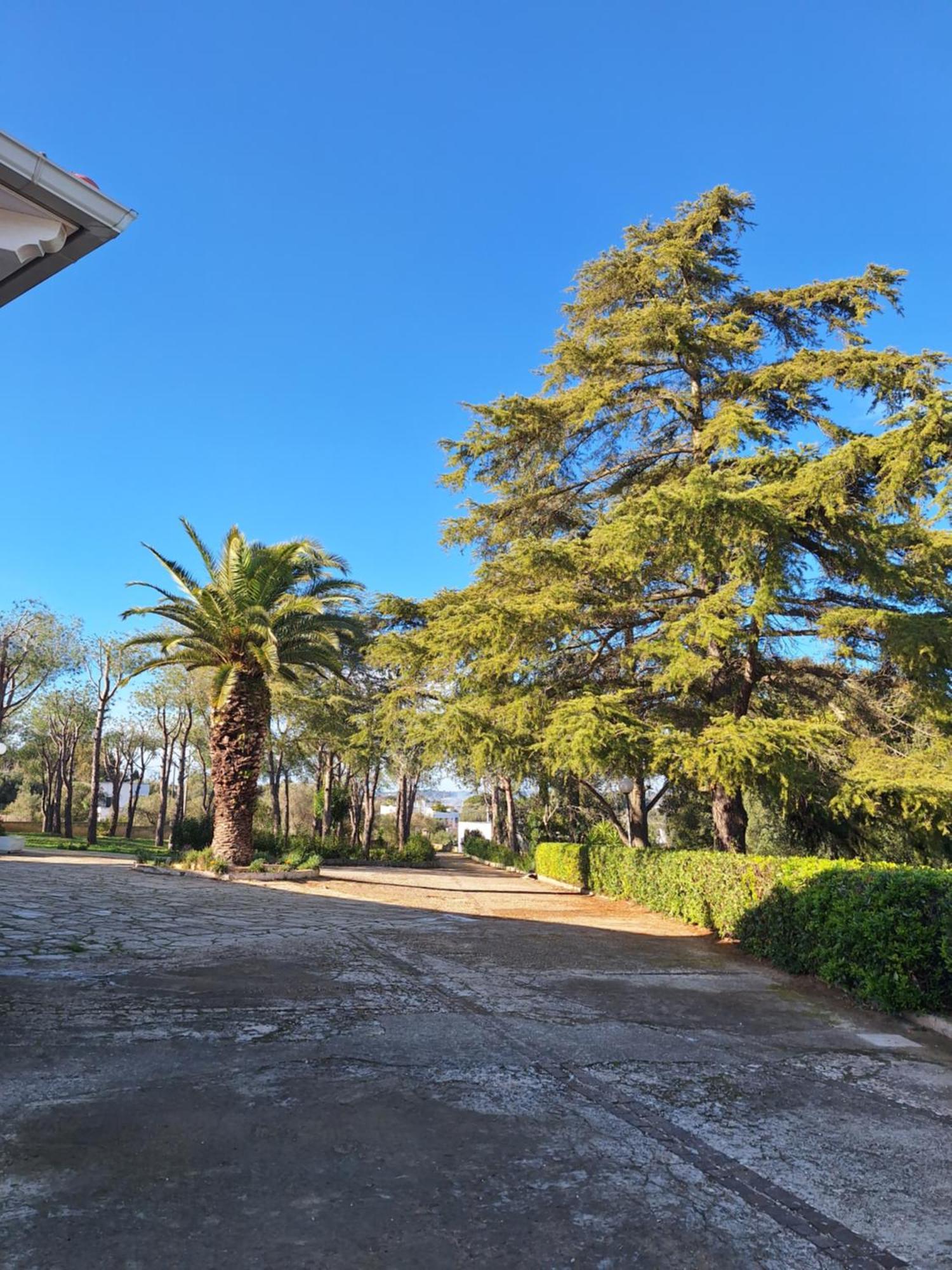 Holiday Home Trullo Antico Остуни Екстериор снимка